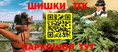 Альфа ПВП Можга
