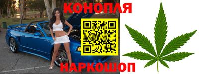 прущие крисы Моздок