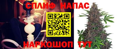 Альфа ПВП Можга