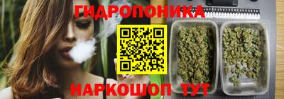 Альфа ПВП Можга
