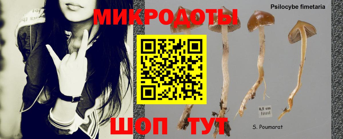 Галлюциногенные грибы Psilocybine cubensis  Вход с VPN  Владикавказ 